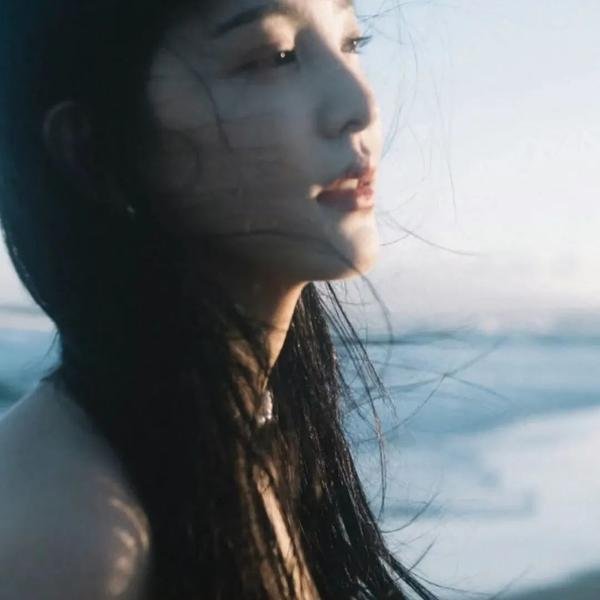 雨果封面